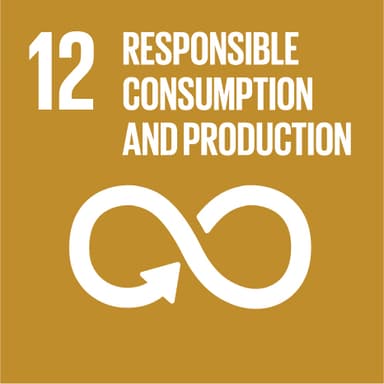 SDG goal 12