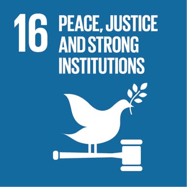 SDG goal 16
