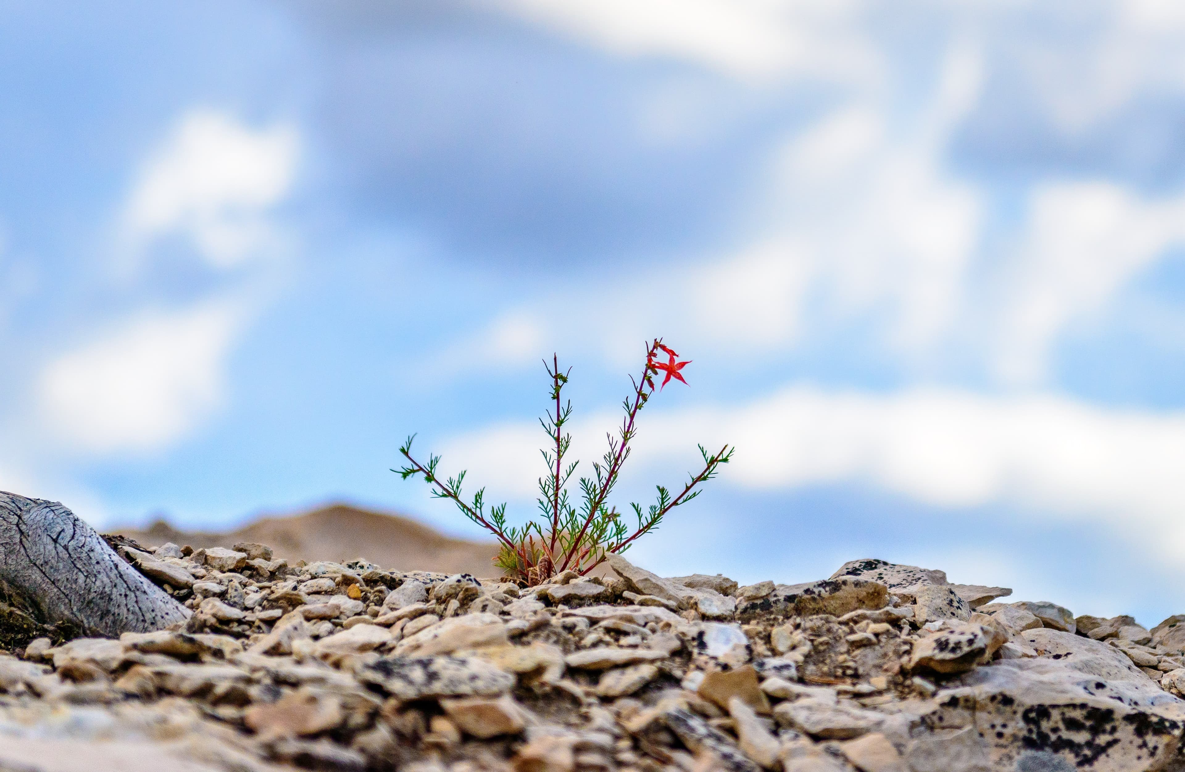 Resilience