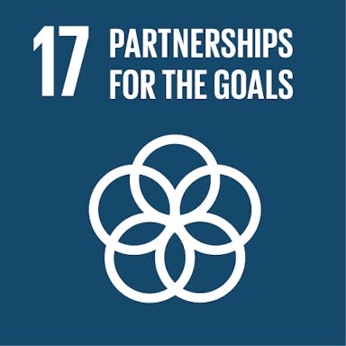 SDG goal 17