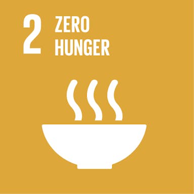 SDG goal 2