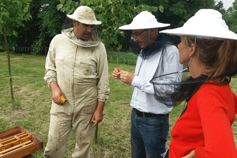 Piloting A Community Apiary