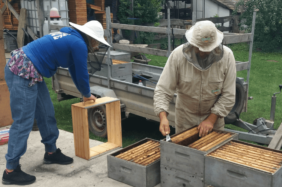 Piloting A Community Apiary