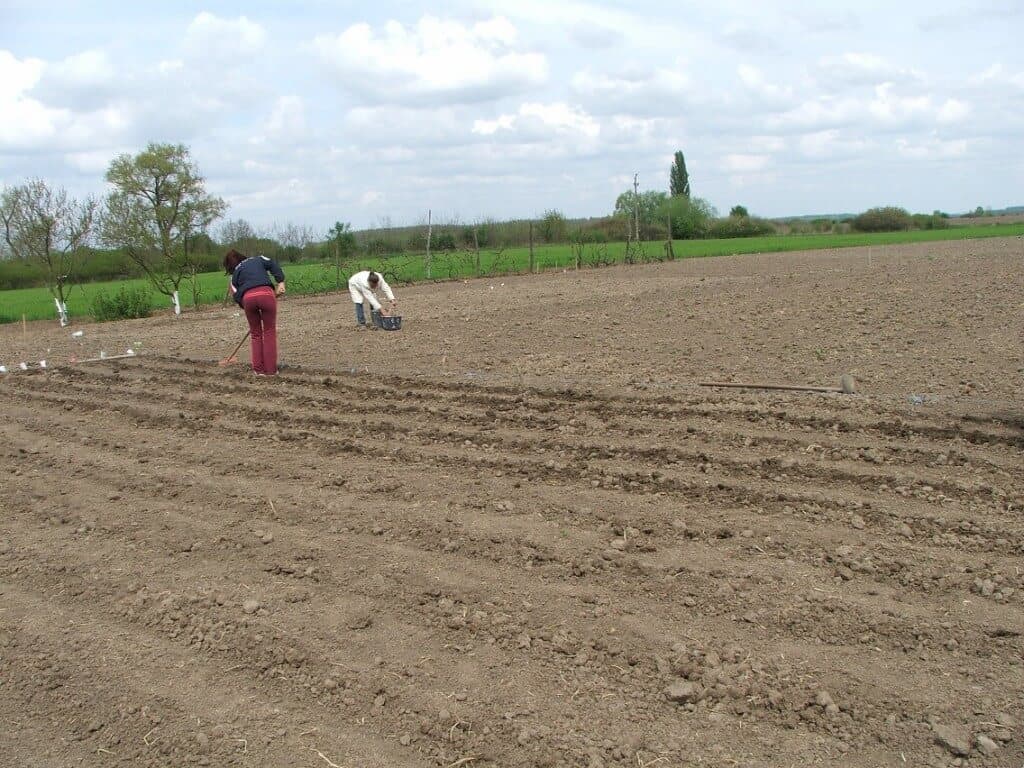 Agricultural Social Enterprise