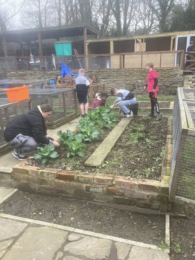 Allotment Project